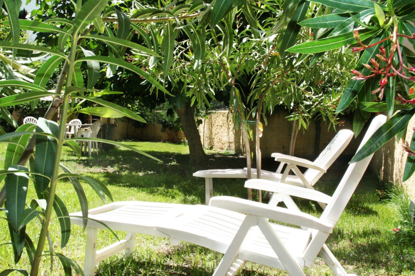 Bed And Breakfast Alghero Solemare - Giardino B&B Alghero Appartamenti Alghero