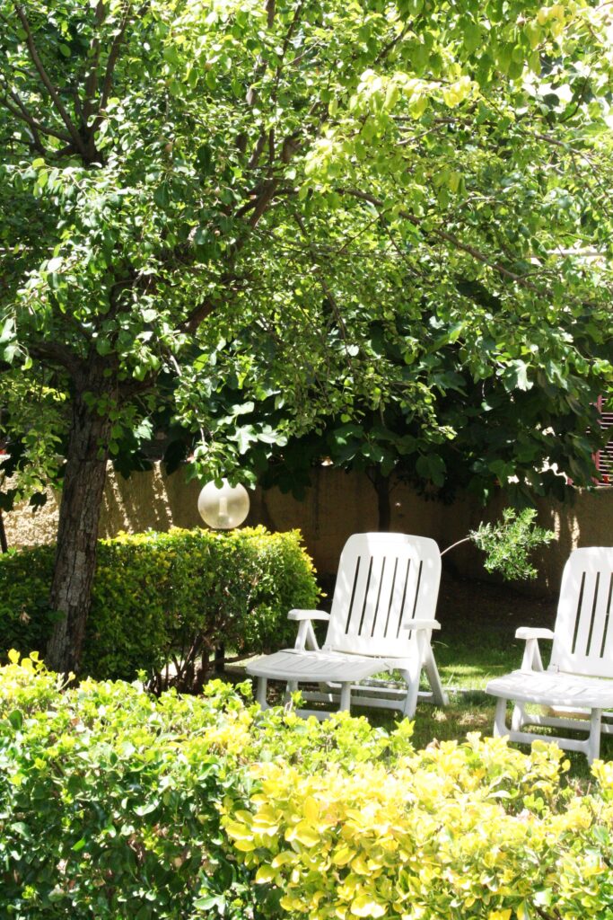 Bed And Breakfast Alghero Solemare - Giardino B&B Alghero Appartamenti Alghero